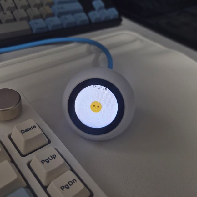 알리익스프레스에서 구매한 음성 봇 디바이스